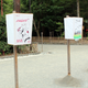 Illustration for article titled Paper Evangelion Lantern Lights Up a Japanese Shrine